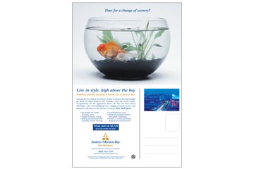 Avalon Mision Bay Direct Mailer